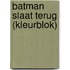 Batman slaat terug (kleurblok)