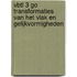 VBTL 3 GO transformaties van het vlak en gelijkvormigheden