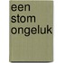 Een stom ongeluk