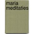 Maria meditaties