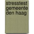 Stresstest gemeente Den Haag