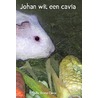 Johan wil een cavia door De Grote Cavia