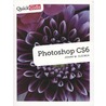Quickgids Photoshop CS6 door Johan W. Elzenga