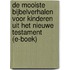 De mooiste bijbelverhalen voor kinderen uit het Nieuwe Testament (E-boek)