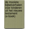 De mooiste bijbelverhalen voor kinderen uit het Nieuwe Testament (E-boek) door Sylvia Vanden Heede