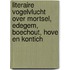 Literaire vogelvlucht over Mortsel, Edegem, Boechout, Hove en Kontich