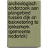 Archeologisch onderzoek aan plangebied tussen Dijk en Bakwetering te Lekkerkerk (gemeente Nederlek)