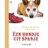 Een hondje uit Spanje