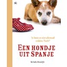 Een hondje uit Spanje