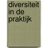 Diversiteit in de praktijk