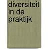 Diversiteit in de praktijk by Susan Ketner