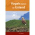 Vogels kijken op IJsland