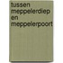 Tussen Meppelerdiep en Meppelerpoort