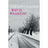 Wat is waanzin by Darian Leader