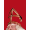 Sinterklaas bestaat! door Bram van der Vlugt