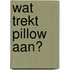 Wat trekt Pillow aan?