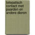 Telepatisch contact met paarden en andere dieren