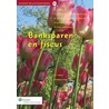 Banksparen by R. Stam