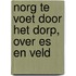 Norg te voet door het dorp, over es en veld