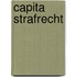 Capita strafrecht