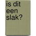 Is dit een slak?