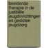Beeldende therapie in de justitiële jeugdinrichtingen en gesloten jeugdzorg