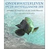 Onderwaterleven in de Middellandse zee door Royan van Velse