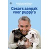 Cesars aanpak voor puppy's by Cesar Millan