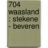 704 Waasland : Stekene - Beveren