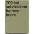 709 het Scheldeland: Hamme - Boom