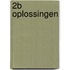 2B Oplossingen