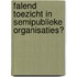 Falend toezicht in semipublieke organisaties?