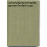 Schoolzijde/Groenezijde gemeente Den Haag door E.C. Rieffe