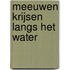 Meeuwen krijsen langs het water