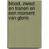 Bloed, zweet en tranen en een moment van glorie