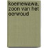 Koemewawa, zoon van het oerwoud