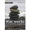 Wat werkt door Peter van der Helm