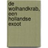 De wolhandkrab, een Hollandse exoot