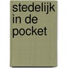 Stedelijk in de pocket door Rixt Hulshoff Pol
