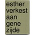 Esther Verkest aan gene zijde