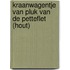 Kraanwagentje van Pluk van de Petteflet (hout)