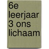 6e leerjaar 3 ons lichaam door Nic Pappijn