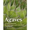 Agaves by Greg Starr