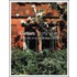 Girton