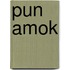 Pun Amok