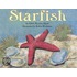 Starfish
