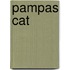 Pampas Cat