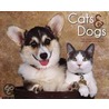 Cats & Dogs door Willowcreek Press