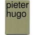 Pieter Hugo