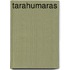 Tarahumaras